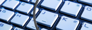 Learn all about phishing, smishing, vishing, and more in our latest blog.